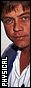 Mark Hamill, 33 x 81, black border