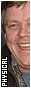 Mark Hamill, 33 x 81, white border