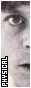 TESB button, 31x88, white border